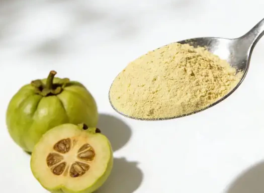 Garcinia extract ingredient featured in Sodatide capsules