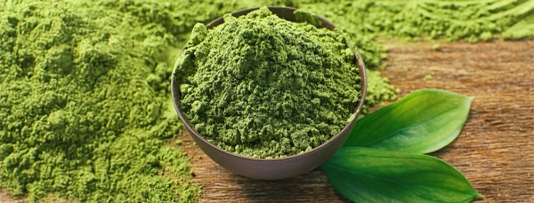 Green tea extract ingredient used in Sodatide formula